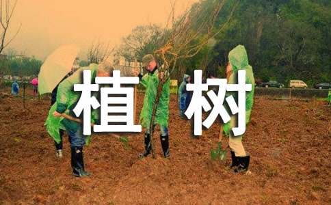 一年级看图写话:植树