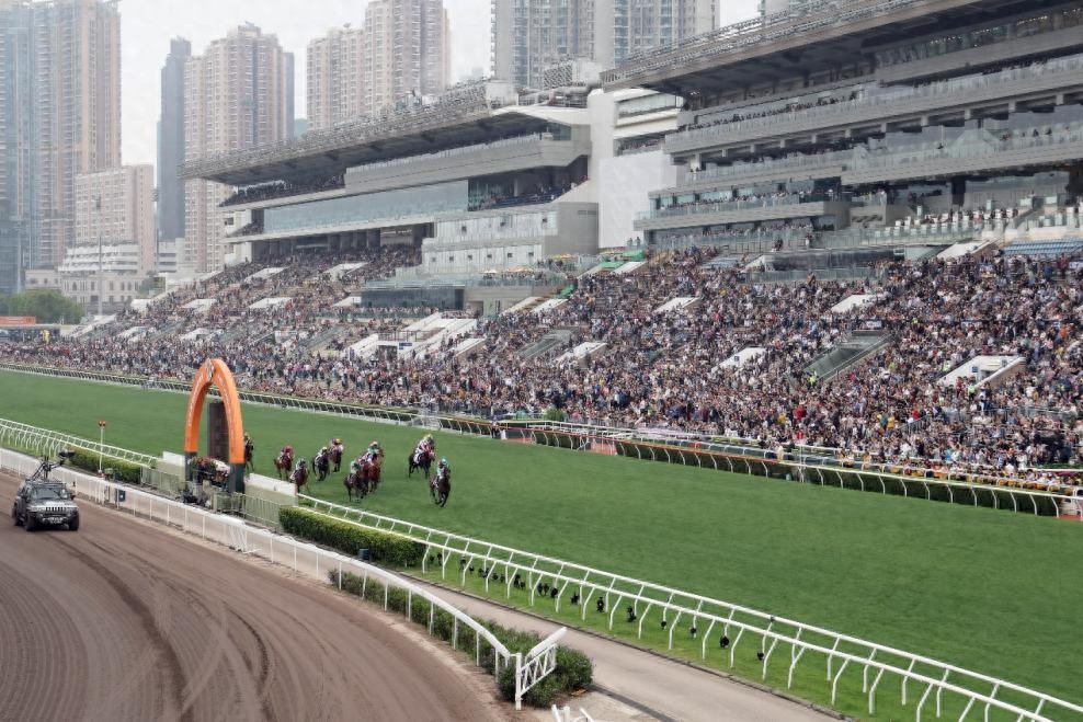 沙田马场赛马赛事_香港冠军赛马日_香港赛马 赛事