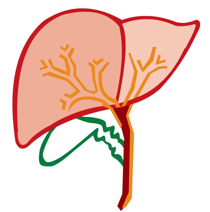 抗甲状腺药物副作用_甲亢治疗方式_治疗甲亢的药物副作用